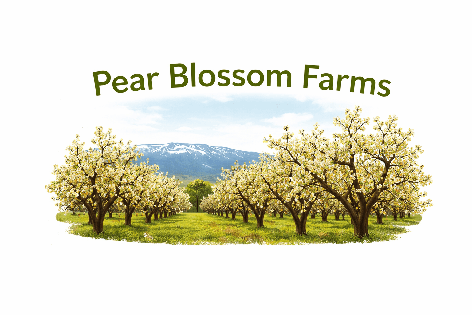Pear Blossom Farms